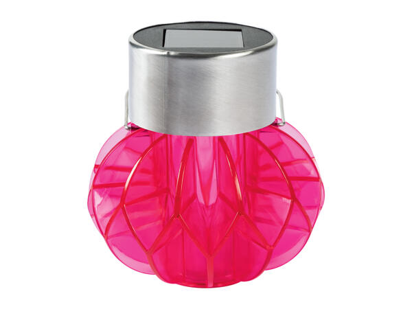 Livarno Home LED Solar Light