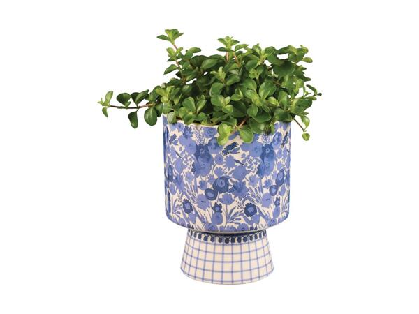 Houseplant in Floral Ceramic