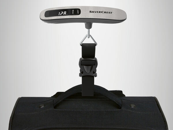 Luggage scales