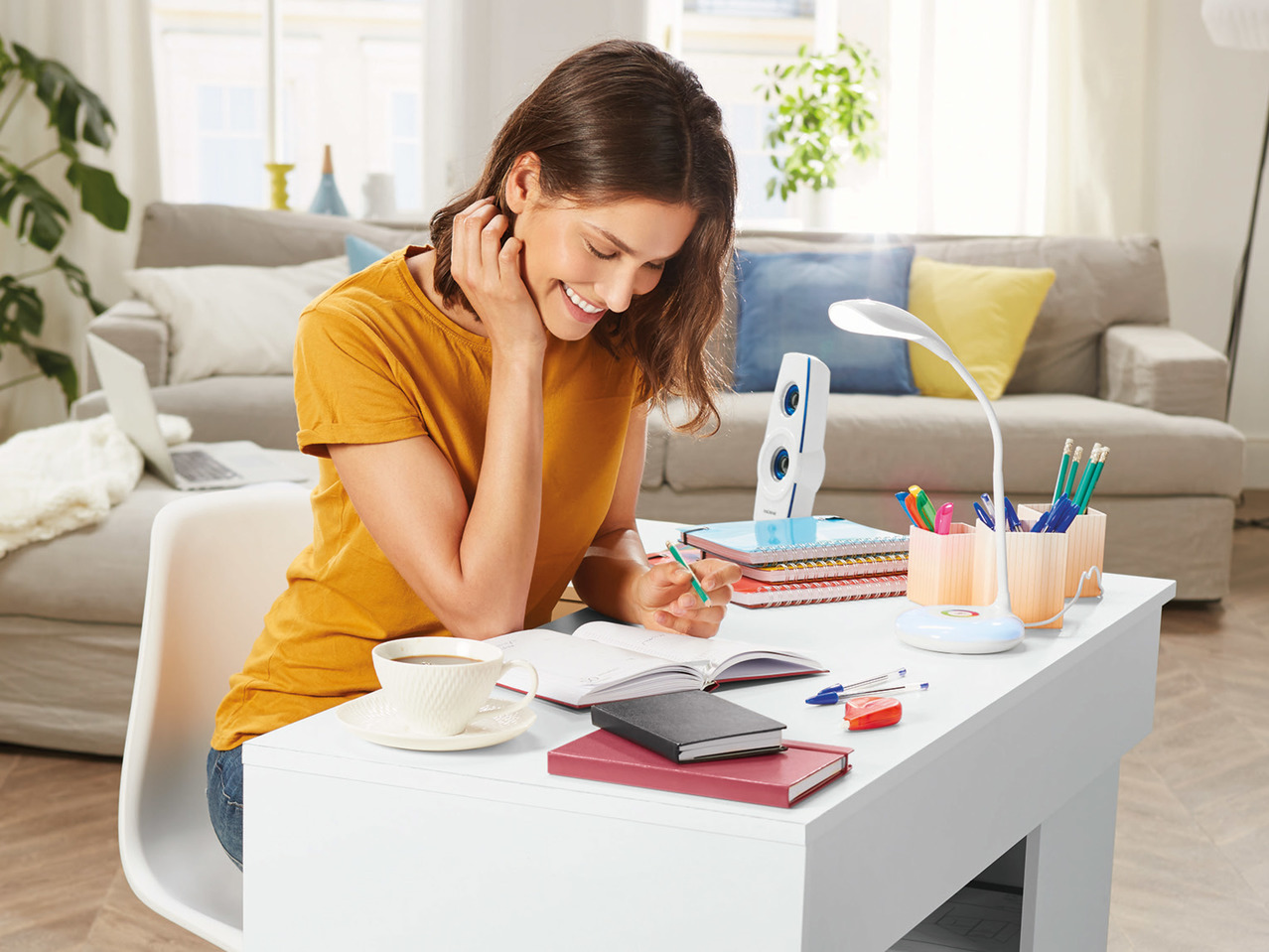 Livarno Lux LED Desk Lamp1