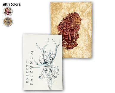 HARRY POTTER Coperta