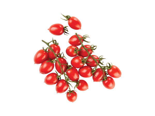 Piccadilly Tomatoes