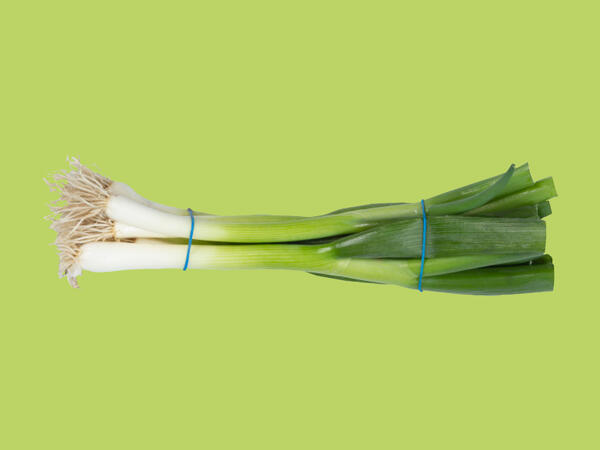 Spring Onions Bunch
