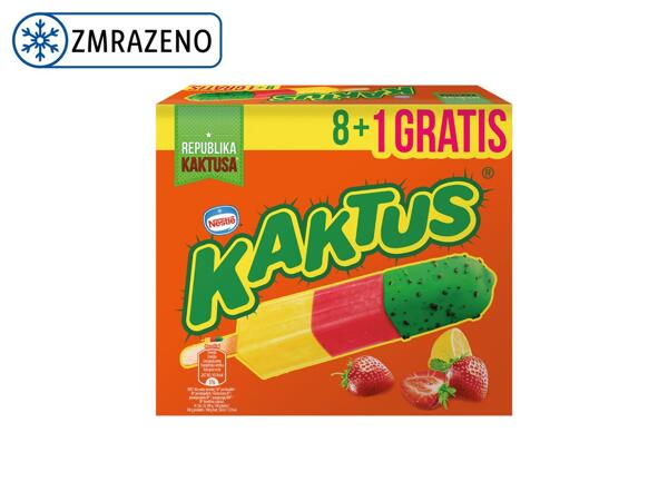 ZMRZLINA KAKTUS