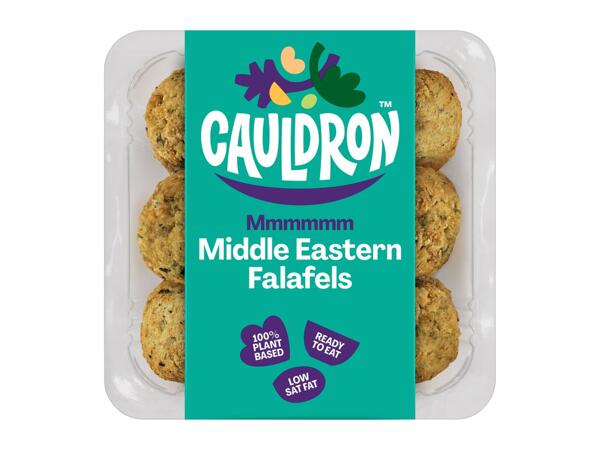 Cauldron Vegan Falafel