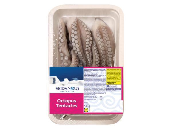 Octopus Tentacles
