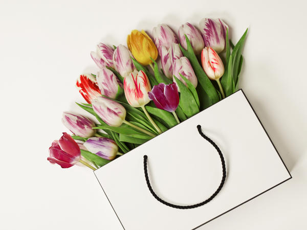 Tulpen