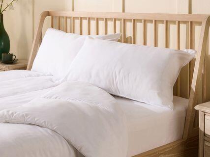 SLUMBERDOWN Anti-Allergy Pillows