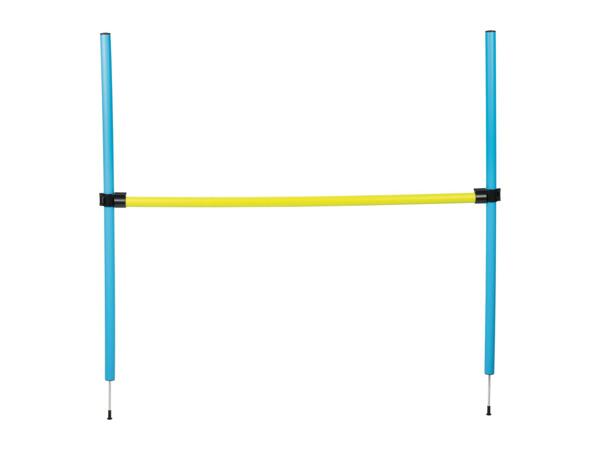 Zoofari Dog Agility Set