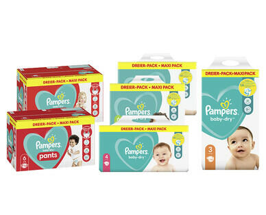 PAMPERS(R) 
 BABY DRY WINDELN/ PANTS MAXI PACK