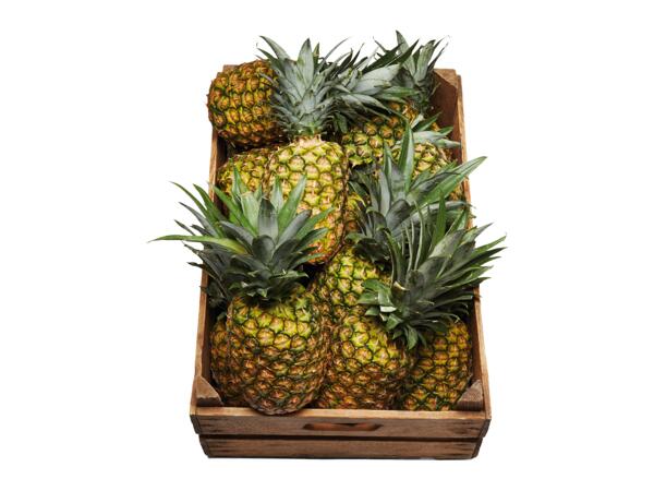 Ananas