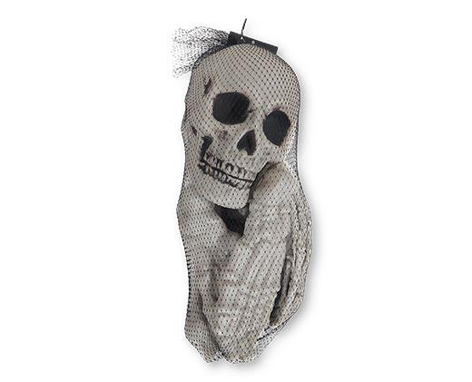 Huntington Home Bones or Skulls