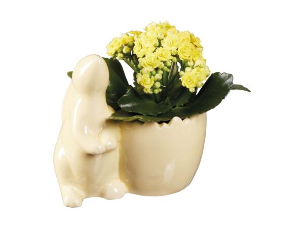 Easter Ceramic Bunny/​Chicken Plant