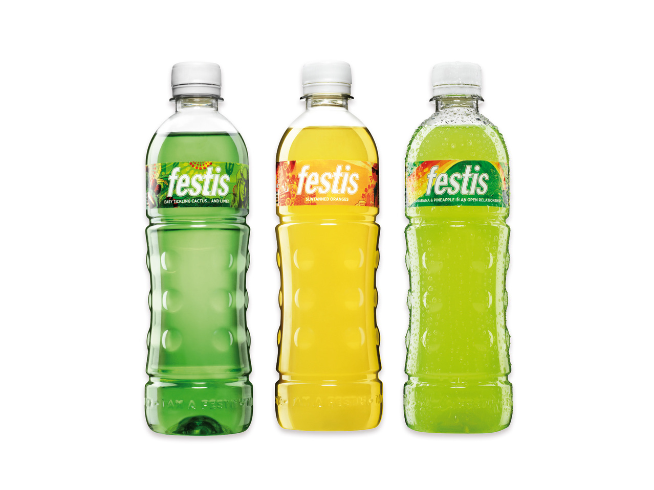 Festis