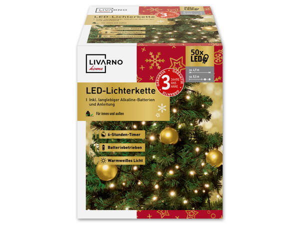 LED-Lichterkette, 50 LEDs