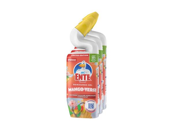 Gel action intense Canard WC, pack de 3