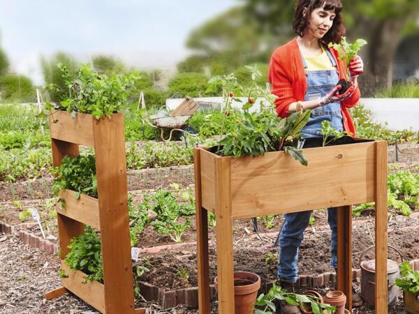 Raised Planter