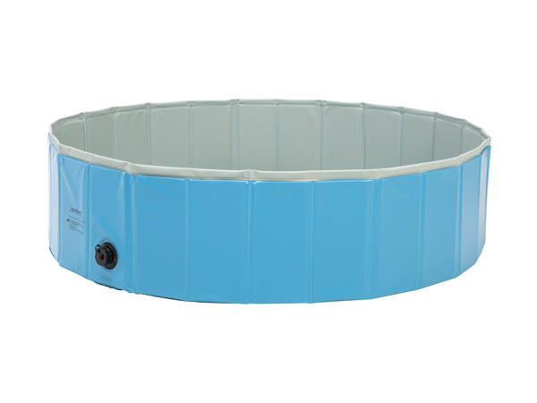 ZoofariDog Pool
