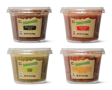 Little Salad Bar Salsa