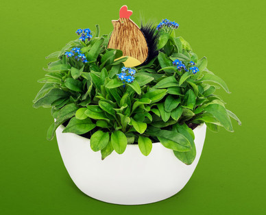 Bepflanztes Osterarrangement