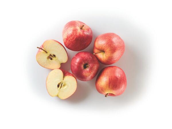 Gala Red Apples PGI