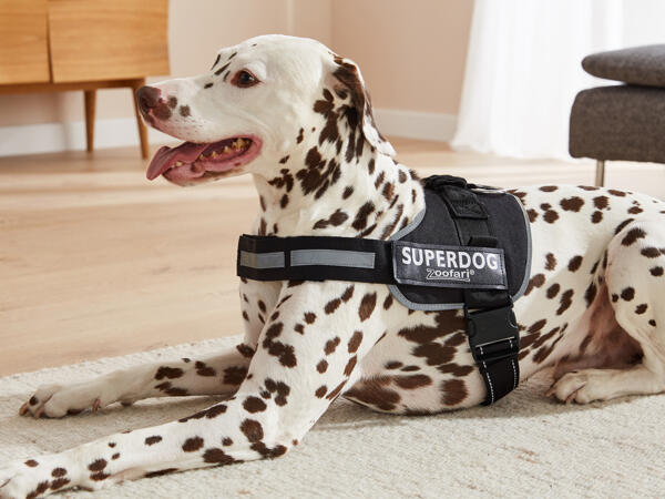 Dog Harness