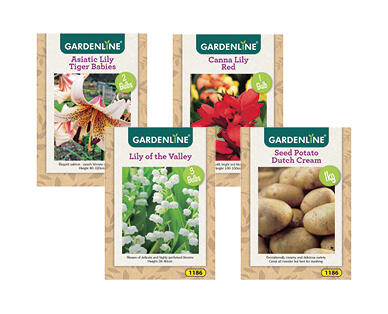 Packet Bulbs