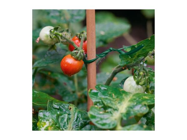 Parkside Growing Accessories Assortment