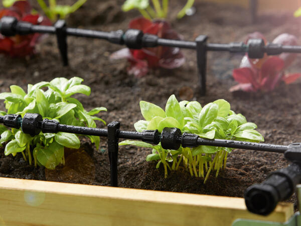 Irrigation Kit