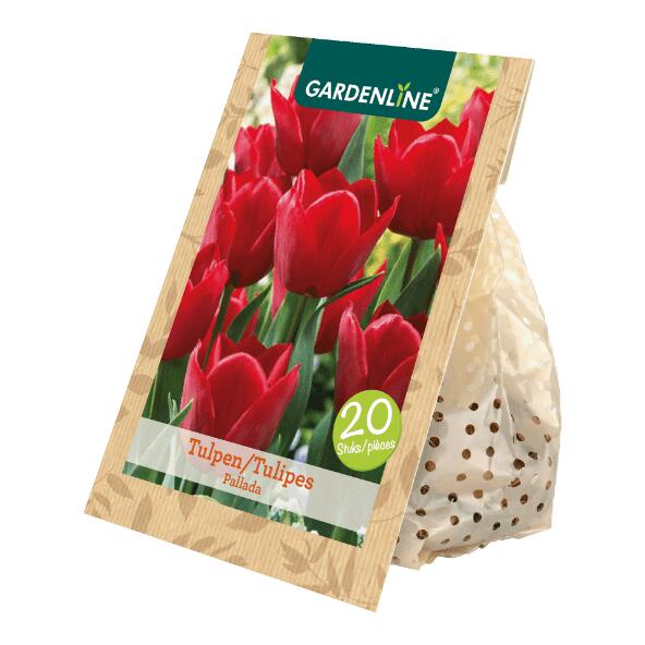 GARDENLINE(R) Tulpenzwiebeln, 20 St.