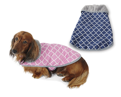 Assorted Pet Accessories