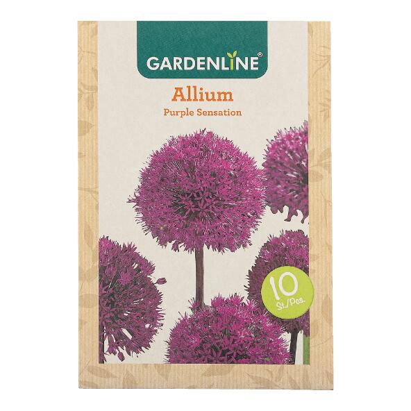 GARDENLINE(R) 				Bulbes à fleurs ail d'ornement