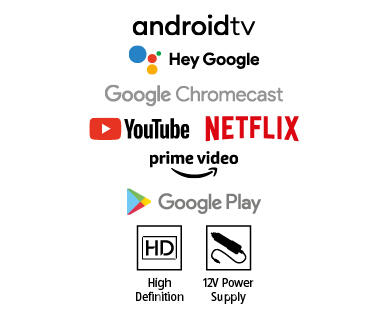 24" HD Android TV with 12V Adaptor