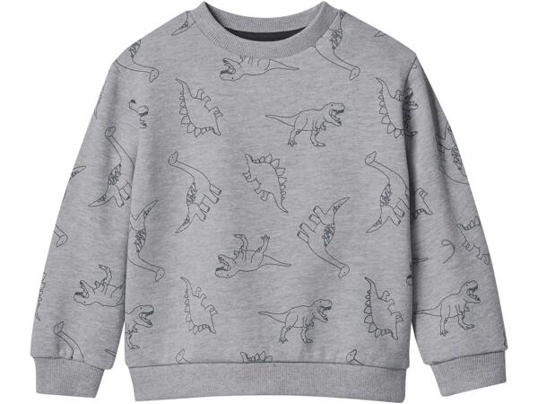 Boys' Sweatshirt