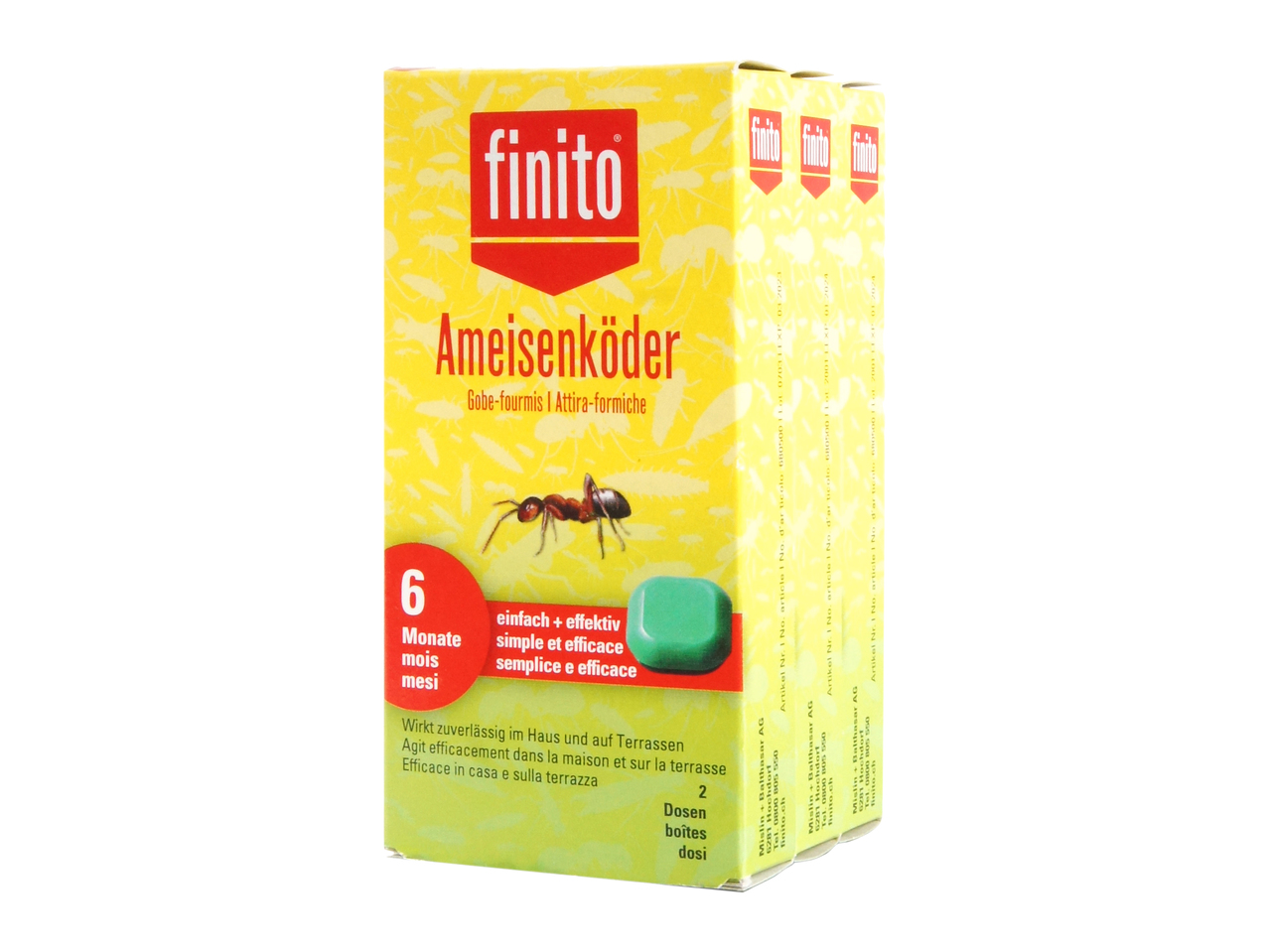 Gobe-fourmis finito Trio