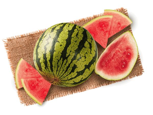 Wassermelone kernarm