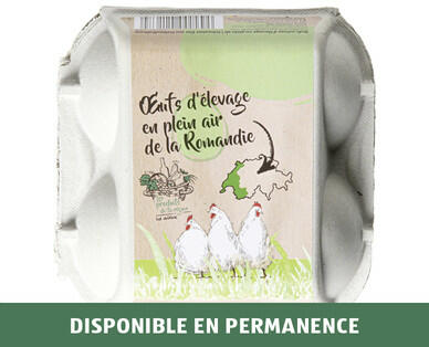 ŒUFS D'ÉLEVAGE EN PLEIN AIR DE LA RÉGION