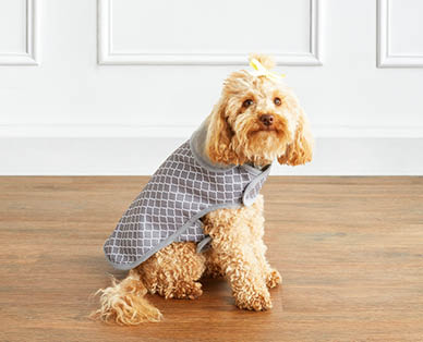 Dog Accessories