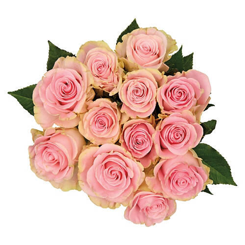 Valentine's Day 12 Stem Roses - Assorted Colors