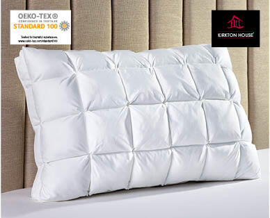 Luxury Cloud Pillow