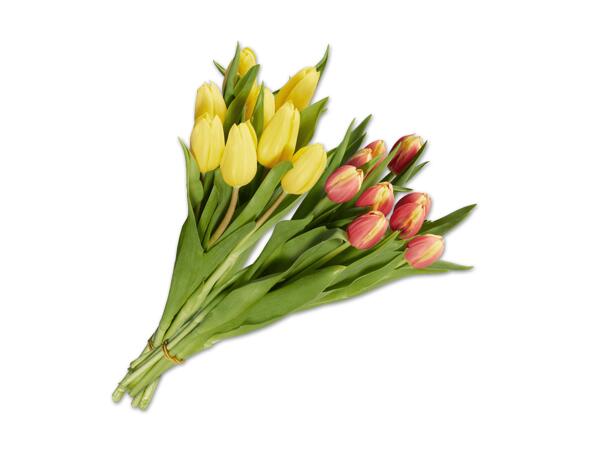 Tulpenstrauß einfarbig