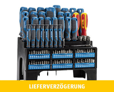 WORKZONE(R) 
 XXL SCHRAUBENZIEHER-/BIT-SET, 100-TEILIG