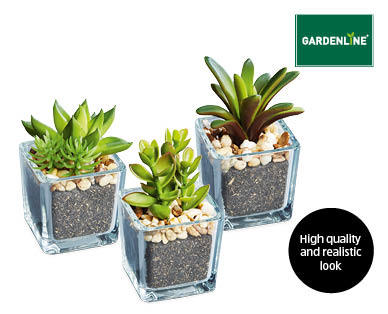 Faux Mini Succulent in Glass Pot
