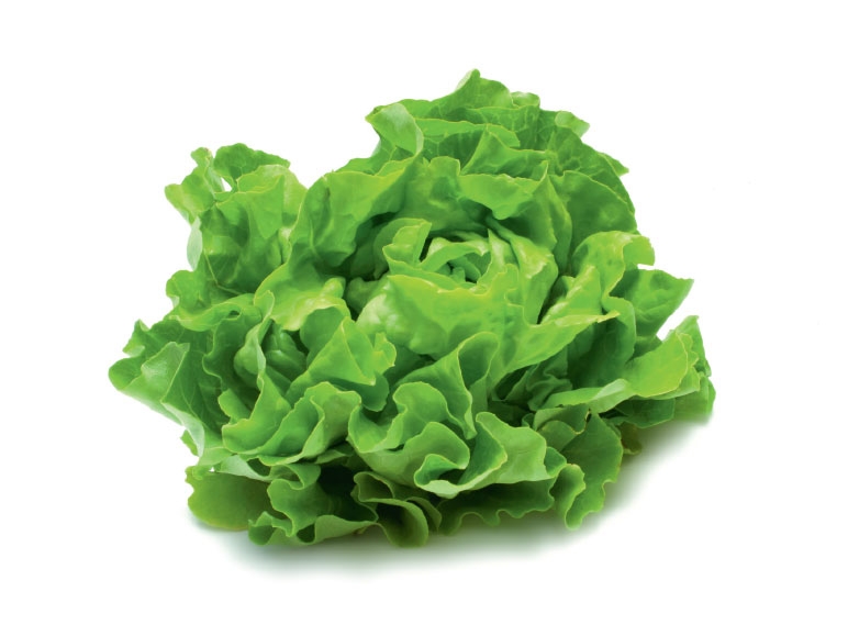 kropsla