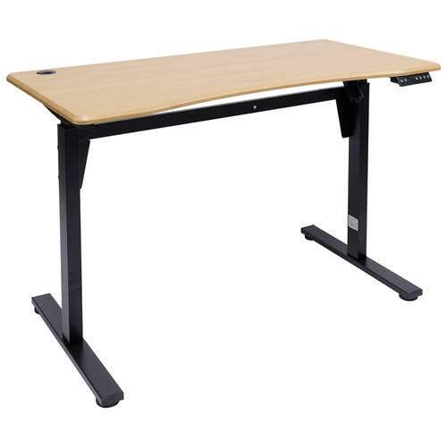 Electric Standing Office Desk