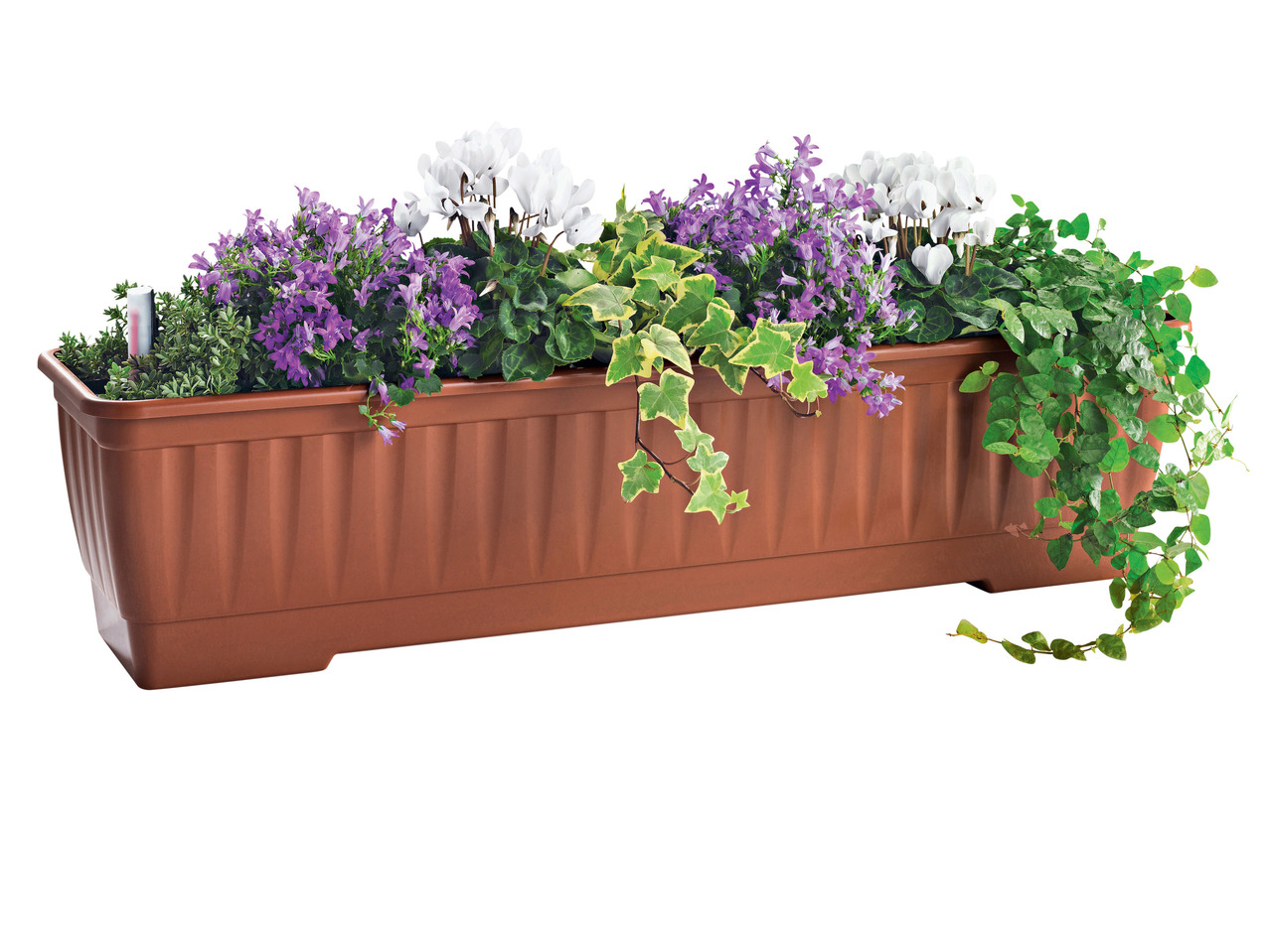 Plant Trough