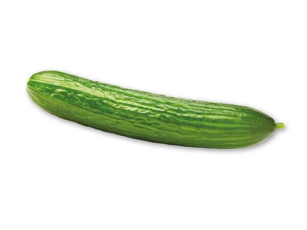 Økologisk agurk eller icebergsalat