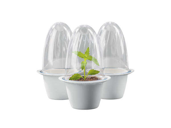 Mini Plant Growing Set