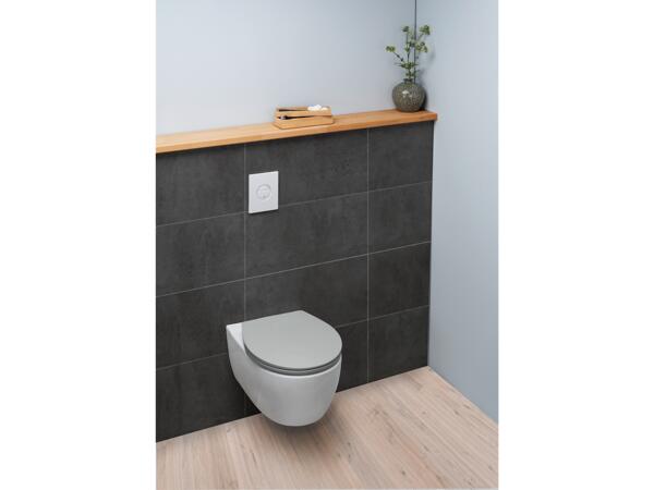 Toilet Seat