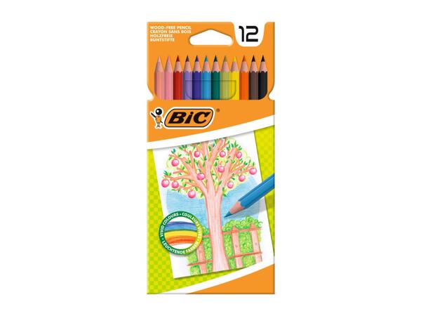BIC Stationery Assortment